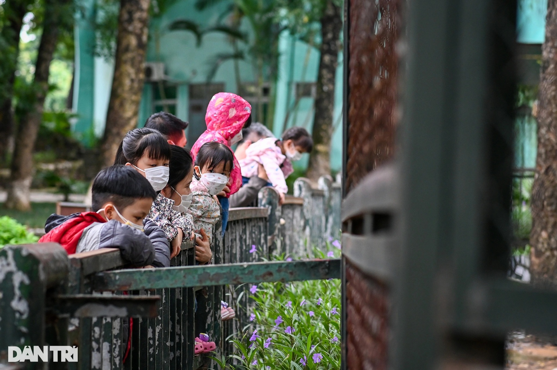 Vườn thú Hà Nội vắng vẻ ngày đón khách trở lại - 6 Vườn thú Hà Nội vắng vẻ ngày đón khách trở lại - 6