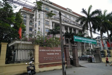 Vụ tiếp nhận 3 giáo viên tỉnh ngoài: Sở GD-ĐT nhận đã nóng vội