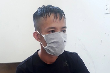 "Ngã ngửa" với lời khai của giám đốc công ty bất động sản trộm cây cảnh