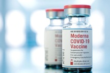 Nhóm kiều bào đề xuất tặng TPHCM 50.000 lọ vắc xin Covid-19 Moderna