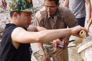 Giáp Tết, bội thu nhờ nuôi cá vụ 3 thay trồng lúa