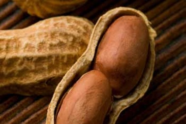 Củ lạc - Món ăn dưỡng sinh đầu đông