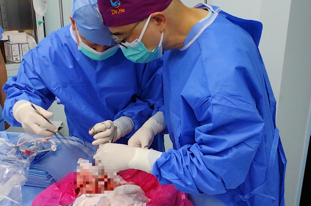 Lần đầu tiên cấy ghép phổi lợn cho người - 1 Lần đầu tiên cấy ghép phổi lợn cho người - 1