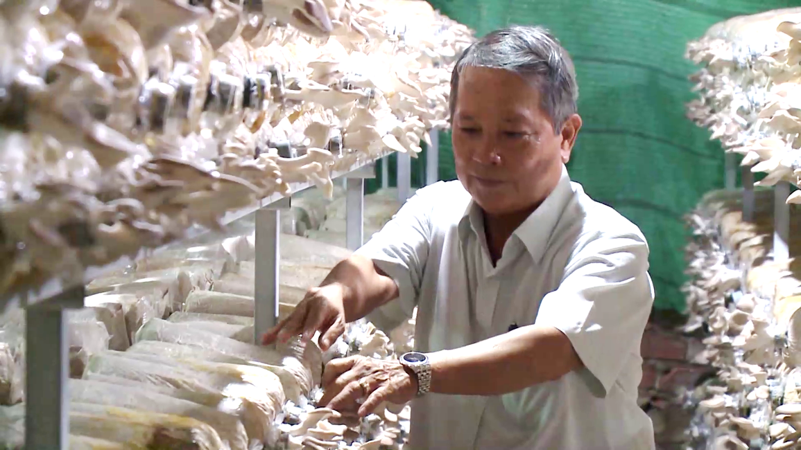 TPHCM: Nông dân CLB 1 tỷ thi nhau làm giàu - 1 TPHCM: Nông dân CLB 1 tỷ thi nhau làm giàu - 1