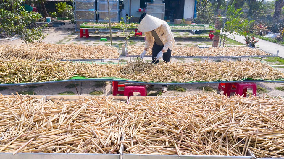 Chàng trai miền Tây bỏ chu du thế giới, về quê giúp bà con kiếm tiền - 3 Chàng trai miền Tây bỏ chu du thế giới, về quê giúp bà con kiếm tiền - 3
