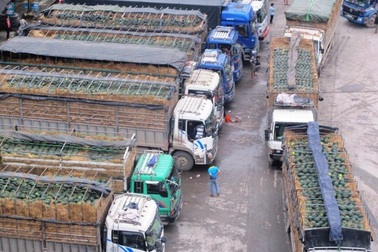 Cửa khẩu Tân Thanh ổn định trở lại sau ùn tắc dưa hấu