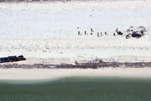 11 ngư dân Indonesia mắc kẹt 6 ngày trên đảo hoang