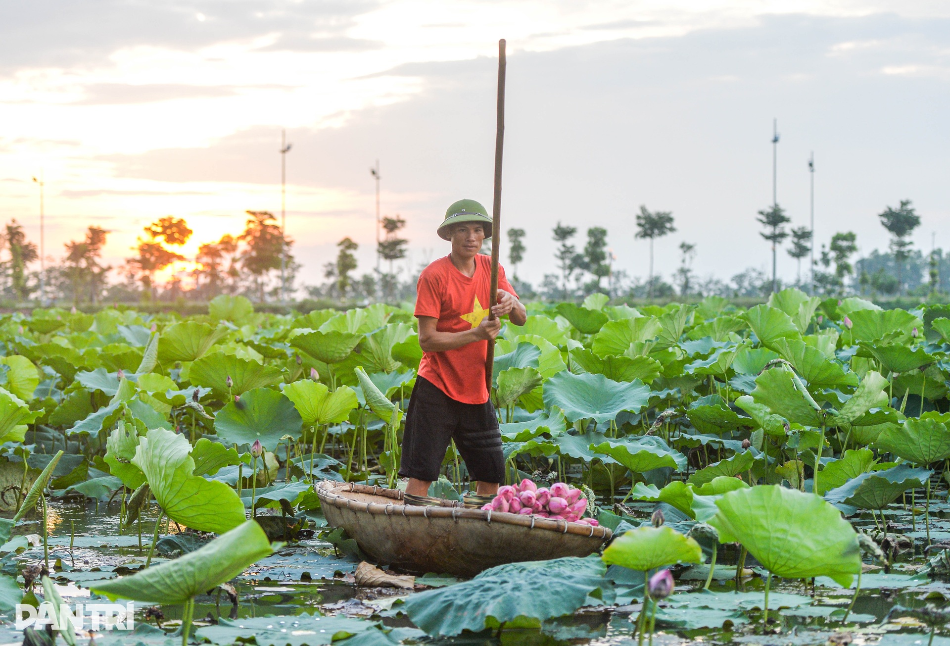 Biến đồng hoang thành đầm sen triệu bông, anh nông dân kiếm tiền tỷ - 3