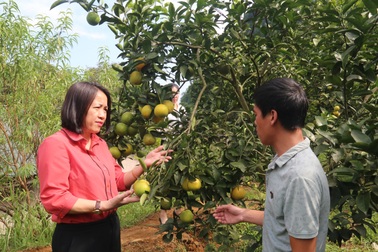 Lào Cai: Giảm nghèo nhanh và bền vững là sự kiện nổi bật năm 2020