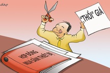 Vài lời với ông Cảm bị “cúm” bởi… “Virus Dolavid”