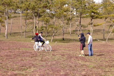 Du khách háo hức đến “Mùa hội cỏ hồng Langbiang”