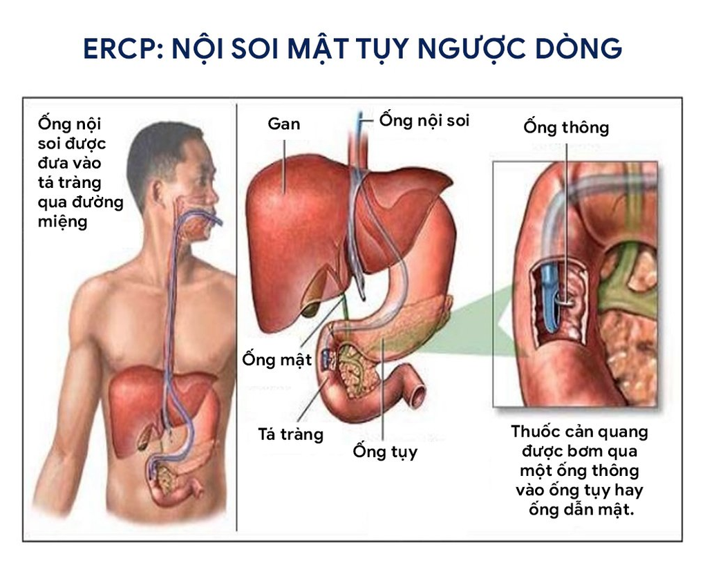 Bác sĩ Bùi Nhuận Quý: Hạnh phúc vì được làm đúng đam mê - 4 Bác sĩ Bùi Nhuận Quý: Hạnh phúc vì được làm đúng đam mê - 4