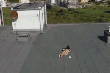 “Xả hơi” trước khi bắt đầu tuần làm việc mới với loạt ảnh động hài hước