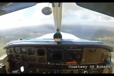 Chim trời "tấn công" máy bay