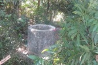 Nữ giáo viên tử vong dưới giếng hoang