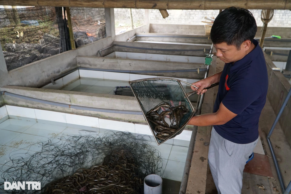 Bỏ nghề giáo viên về nghịch phân bò, thu nửa tỷ đồng mỗi năm - 5 Bỏ nghề giáo viên về nghịch phân bò, thu nửa tỷ đồng mỗi năm - 5