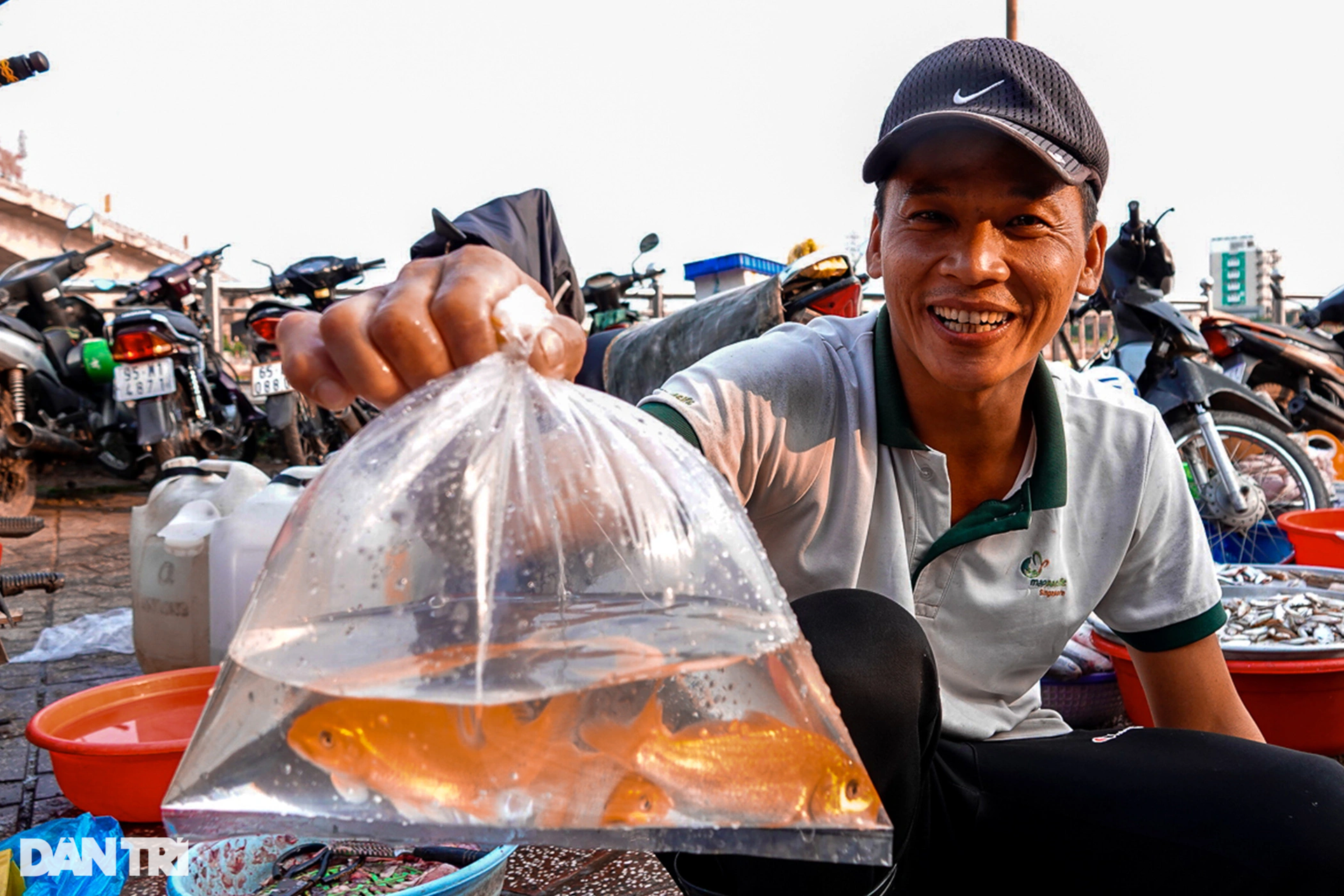 Cá chép, hoa cúng, vàng mã ảm đạm trong ngày đưa ông Táo về trời - 6 Cá chép, hoa cúng, vàng mã ảm đạm trong ngày đưa ông Táo về trời - 6