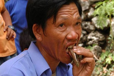 Người chuyên ăn rắn, chuột sống