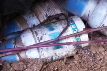 Phó Thủ tướng chỉ đạo kiểm tra, xử lý vụ chôn thuốc trừ sâu