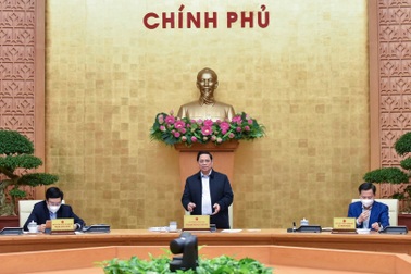 Mở cửa từng bước nền kinh tế, xã hội dần nối lại theo hướng bình thường mới