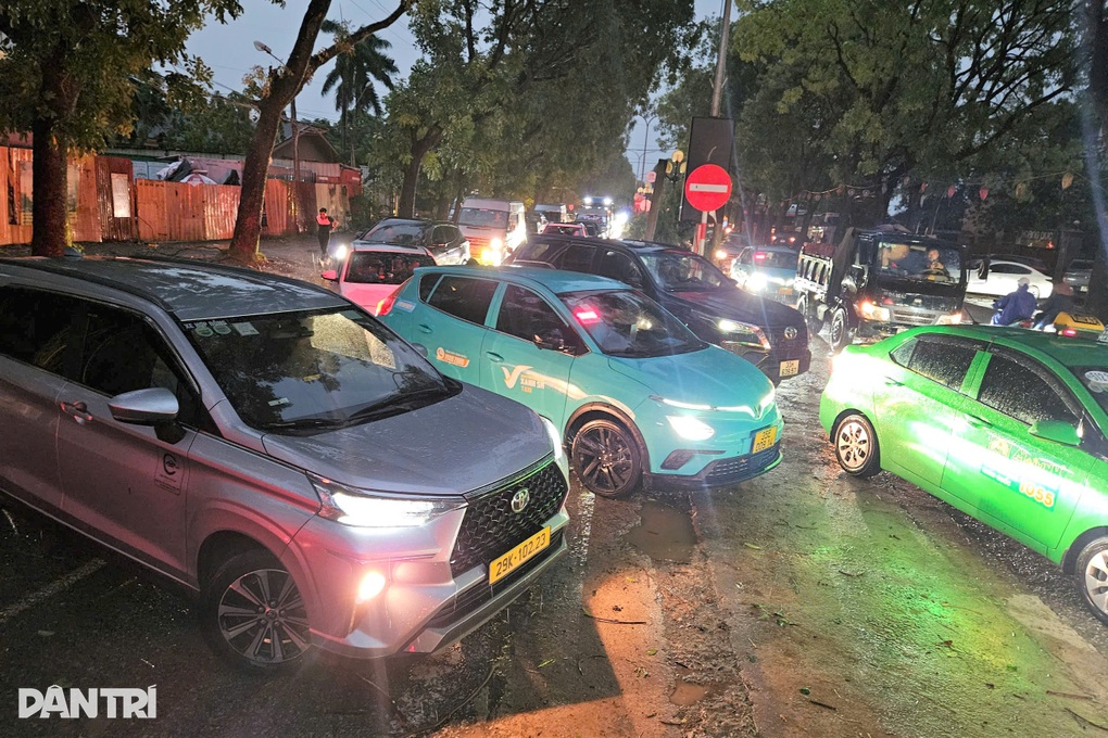 Cây xà cừ đổ ngang đường, giao thông vào khu du lịch Tam Cốc kẹt cứng - 2