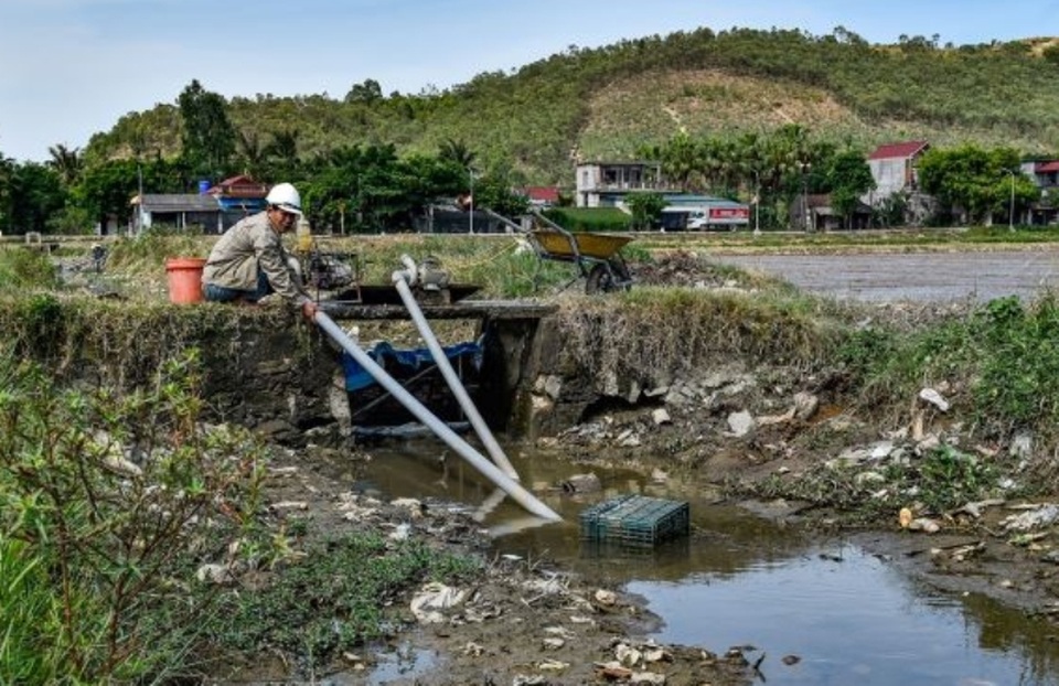 Nắng nóng kéo dài, hàng nghìn ha lúa có nguy cơ chết cháy - 5