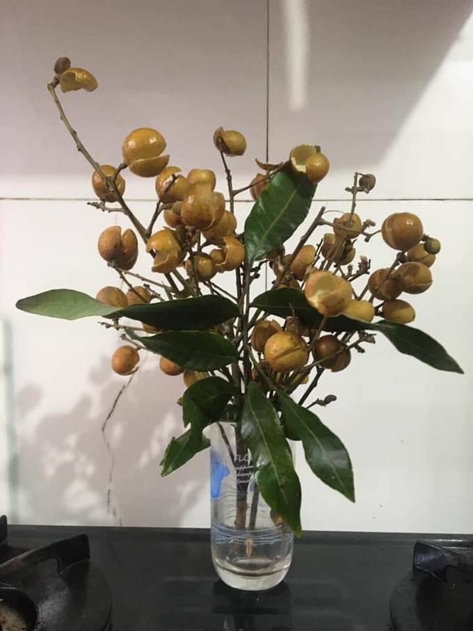 Người phụ nữ khoe lọ hoa đẹp, khi tới gần mới biết chân tướng sự thật - Ảnh 3. Người phụ nữ khoe lọ hoa đẹp, khi tới gần mới biết chân tướng sự thật - Ảnh 3.
