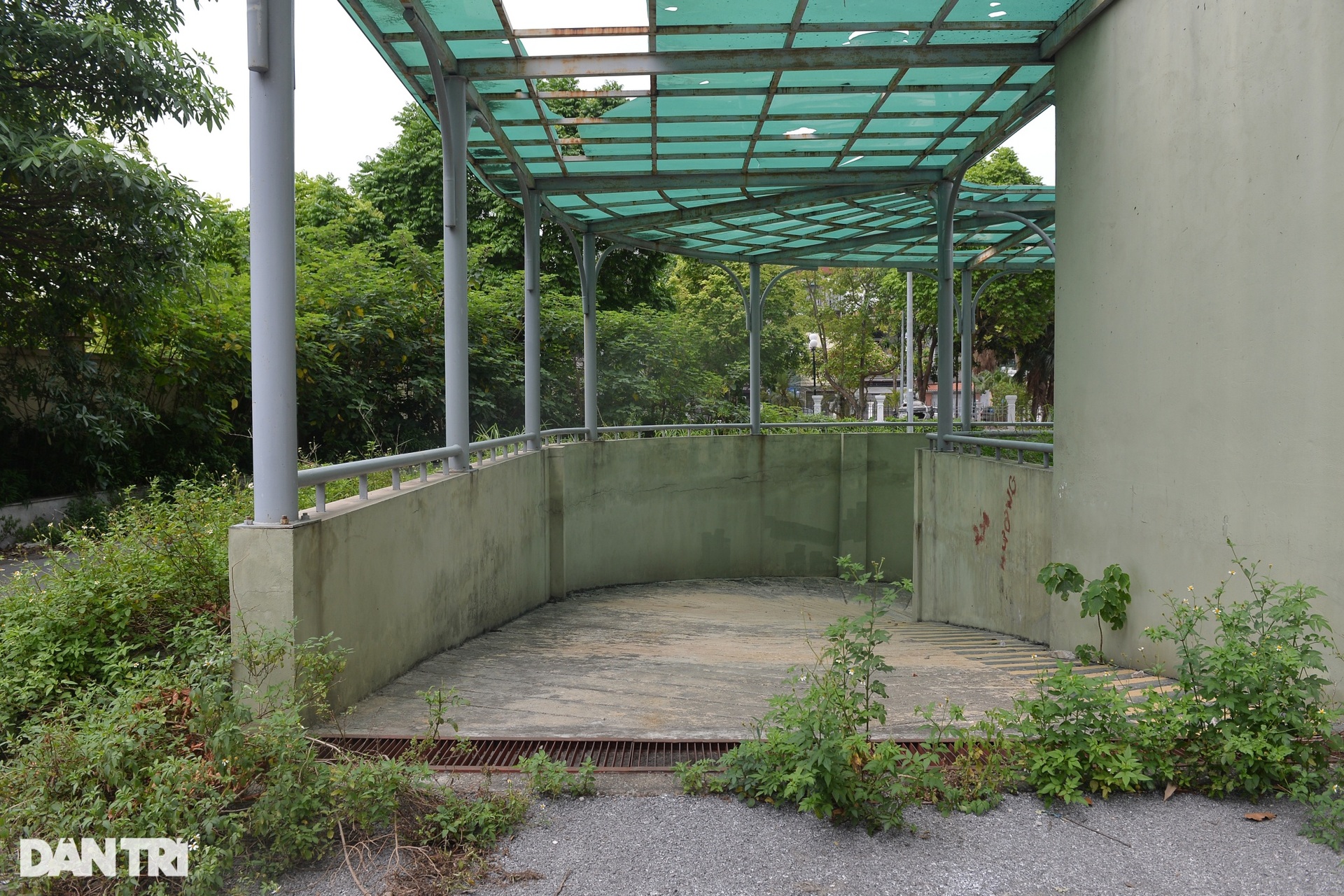 Khu tái định cư trăm tỷ: Nơi để cỏ mọc, chỗ nuôi gà ở Hà Nội - 17