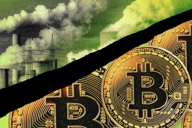 Nghịch lý bitcoin: Giấc mơ số và cơn ác mộng ngoài đời