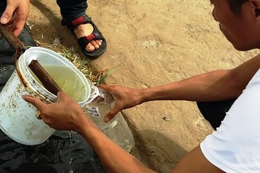 Mức độ ô nhiễm nước sinh hoạt của người dân vượt ngưỡng cho phép