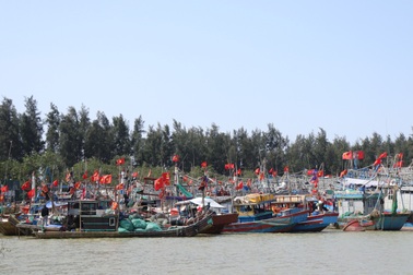 Giữa mùa biển lặng: Chủ tàu "đỏ mắt" tìm lao động ra khơi