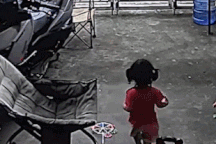 Khoảnh khắc em bé chơi đùa ngoài sân suýt giẫm trúng rắn hổ mang cực độc