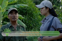 Nông dân làm nông nghiệp sạch vui Tết