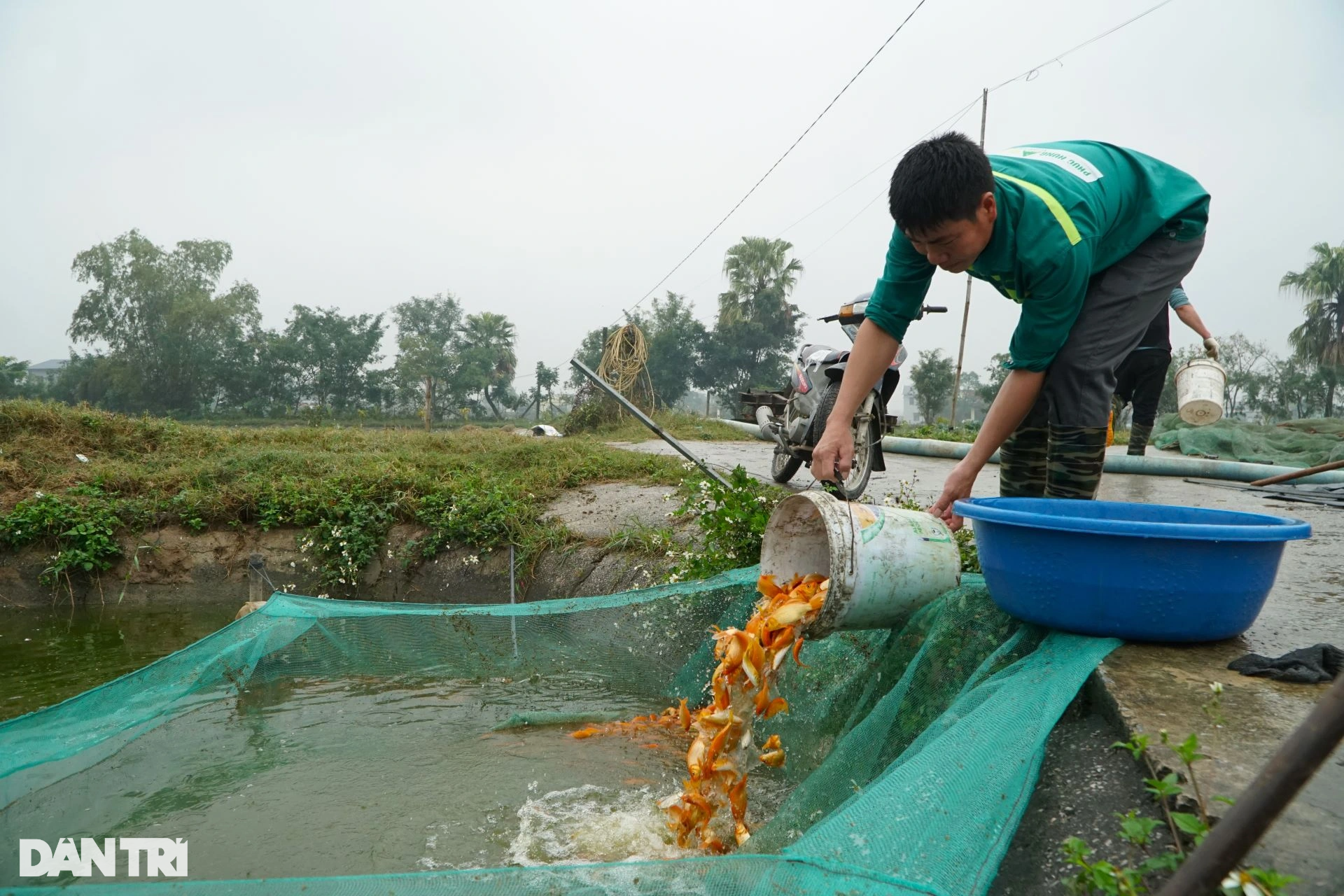 Mẻ lưới trăm triệu tại nơi sản xuất phương tiện tiễn ông Công, ông Táo - 9 Mẻ lưới trăm triệu tại nơi sản xuất phương tiện tiễn ông Công, ông Táo - 9