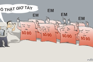 Không thể để những chuyện “hoang đường” như thế trước pháp luật!