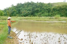 Thủy điện tích nước làm ngập hoa màu, người dân mòn mỏi chờ đền bù