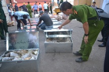 Bắt giữ gần 1 tấn ngà voi và sừng tê giác nhập lậu qua cảng Tiên Sa