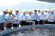 Thủ tướng Nguyễn Xuân Phúc thị sát Formosa Hà Tĩnh