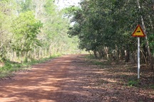 Đồng Nai kiến nghị xây đường 4 làn xe xuyên rừng Mã Đà nối Bình Phước