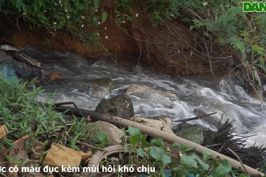 Nước thải đen ngòm đổ thẳng ra sông ở Đà Nẵng