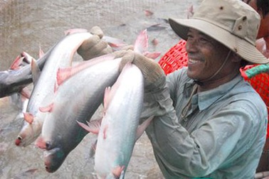 “Cần xem cá tra là sản phẩm chiến lược Quốc gia”