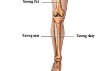 Quy trình theo dõi chấn thương cẳng chân