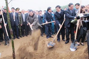 Chủ tịch nước phát động Tết trồng cây năm 2013