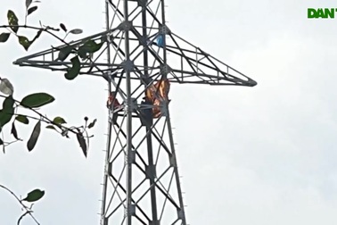 Hai người leo trụ điện cao hàng chục mét