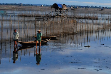 Tinh khôi Đầm Chuồn