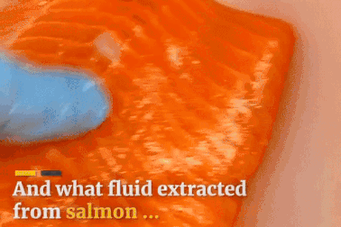 Cảnh quay dưới kính hiển vi sẽ khiến bạn nghĩ lại về thói quen ăn đồ sống, lười rửa tay