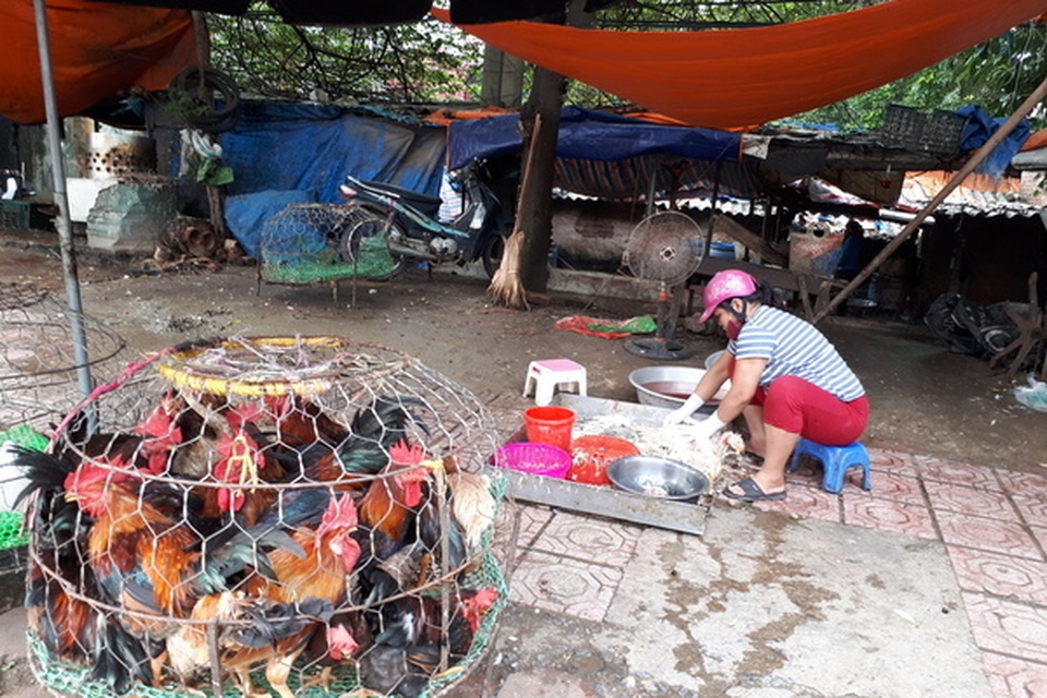 Cú sốc 2020: Hàng vạn gia đình giảm thu nhập, điều kiện sống thấp hơn 2019 - 1 Cú sốc 2020: Hàng vạn gia đình giảm thu nhập, điều kiện sống thấp hơn 2019 - 1