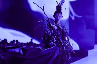 Mẫu Việt Huỳnh Tú Anh được các nhà mốt quốc tế săn đón sau show Chanel - 1