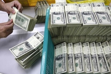 Nợ công Việt Nam: “Khả năng trả nợ rất khó khăn”