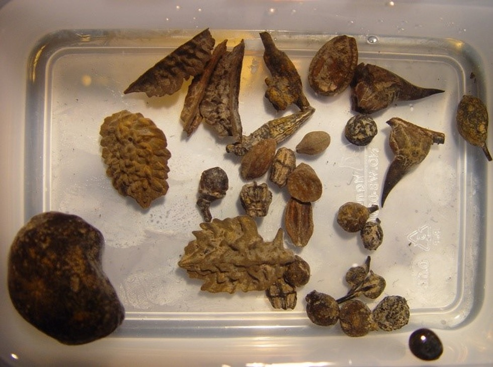 Hé lộ bất ngờ việc phục dựng chân dung cô gái người Việt cách đây 2000 năm - 6 Hé lộ bất ngờ việc phục dựng chân dung cô gái người Việt cách đây 2000 năm - 6